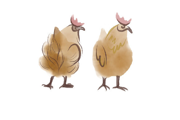 Watercolor Chicken Front and Back View for Animals