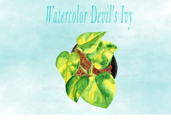 Watercolor Devil's Ivy Print Templates Review
