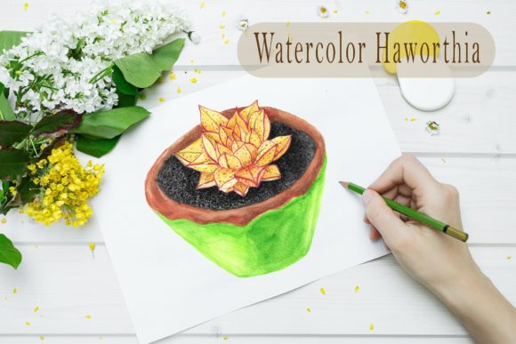 Watercolor Haworthia: A Fresh Take on Print Templates